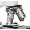 Microscopio Erudit DLX...