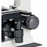 Microscopio Erudit DLX...