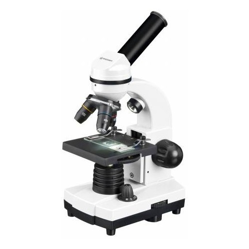 Microscopio escolar Biolux...