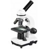 Microscopio escolar Biolux...