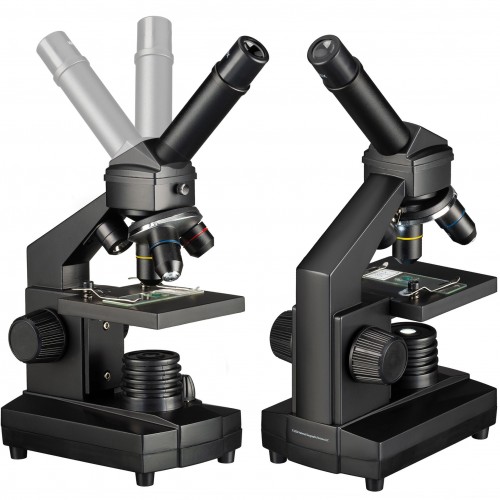 Microscopio con maleta de...