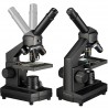 Microscopio con maleta de...