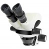 Microscopio ETD-101 Science...
