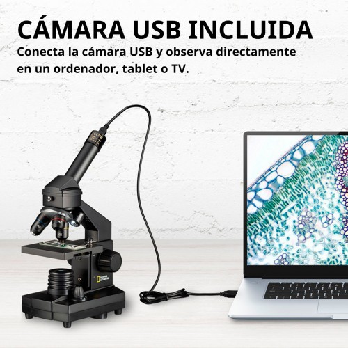 Microscopio con maleta de...