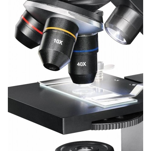 Microscopio 40-1280x con...
