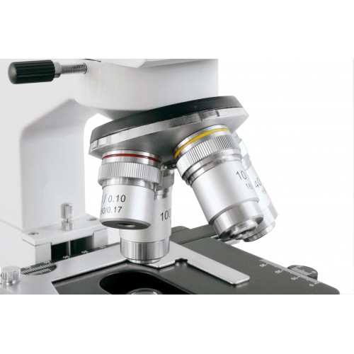 Microscopio binocular...