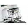Microscopio binocular...