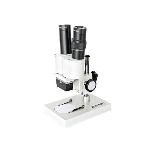 Microscopio ICD LL Biorit...