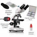 Microscopio Erudit Basic Bino 40x-400x Bresser